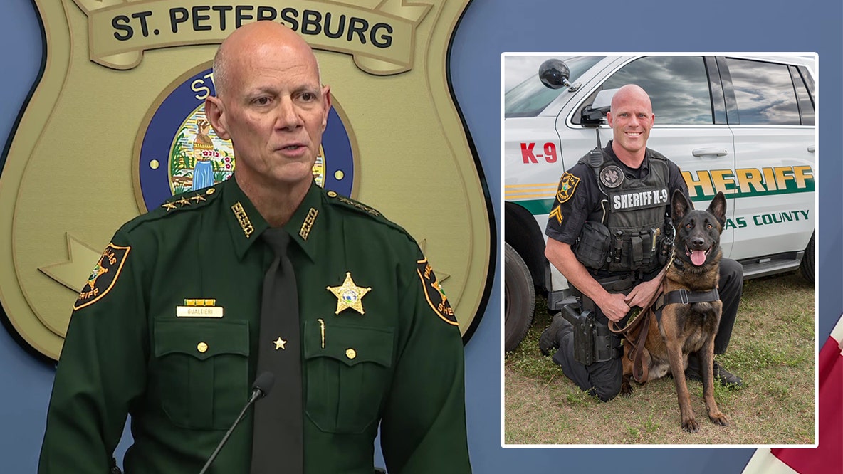 Full press conference: Pinellas deputies were 'ambushed' by suspect in Pinellas Park